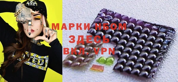 индика Алзамай