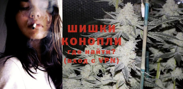 индика Алзамай