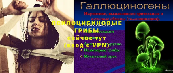 кокс Алексин