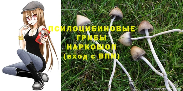 индика Алзамай