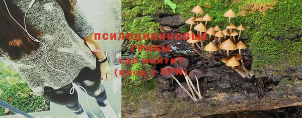 кокс Алексин